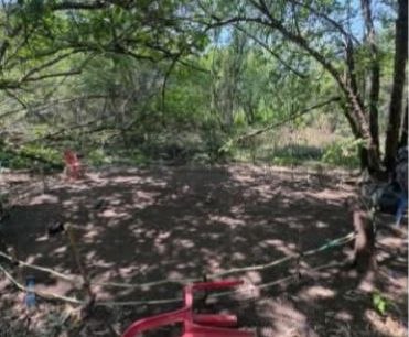 កន្លែងជល់មាន់