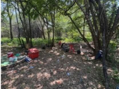 វត្ថុតាងជល់មាន់