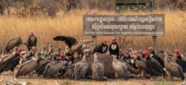 «អាហារដ្ឋានត្មាត» នៅតំបន់អភិរក្សសៀមប៉ាង៖ បេសកកម្មសង្គ្រោះភ្នាក់ងារអនាម័យធម្មជាតិ ត្រូវចំណាយក្នុងតម្លៃ ៨០០ដុល្លារក្នុង១សប្តាហ៍ 