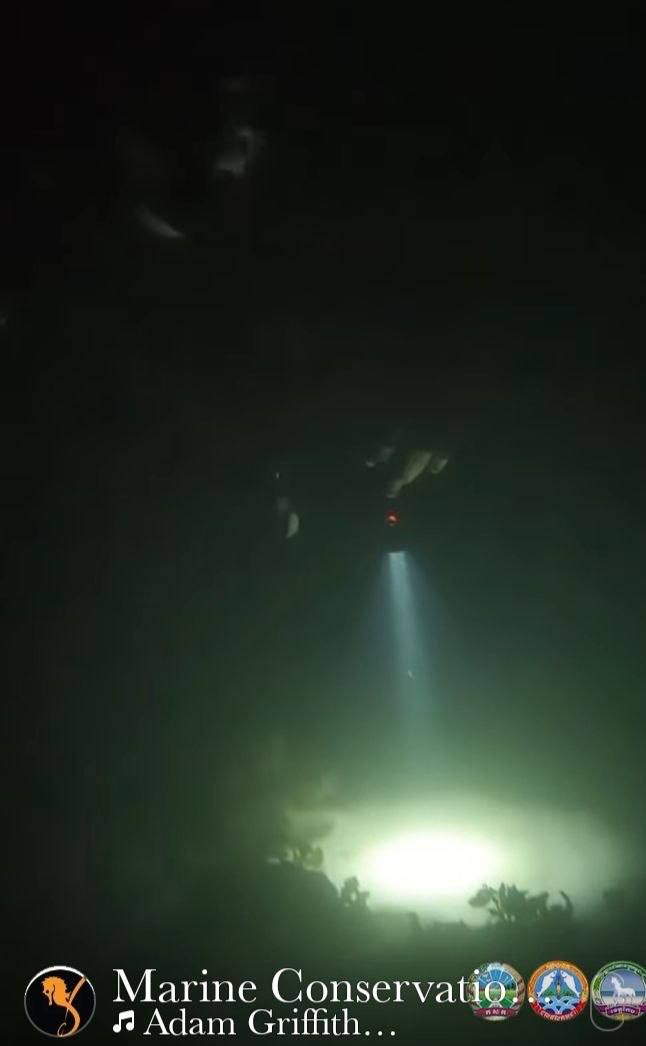 បទពិសោធន៍ការមុជទឹក