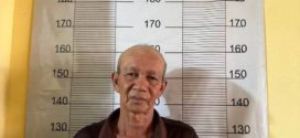 តំណាងអយ្យការខេត្តមណ្ឌលគិរី ចោទប្រកាន់ជនជាតិវៀតណាម ២នាក់ ករណីបើកសង្វៀនជល់មាន់ខុស ច្បាប់
