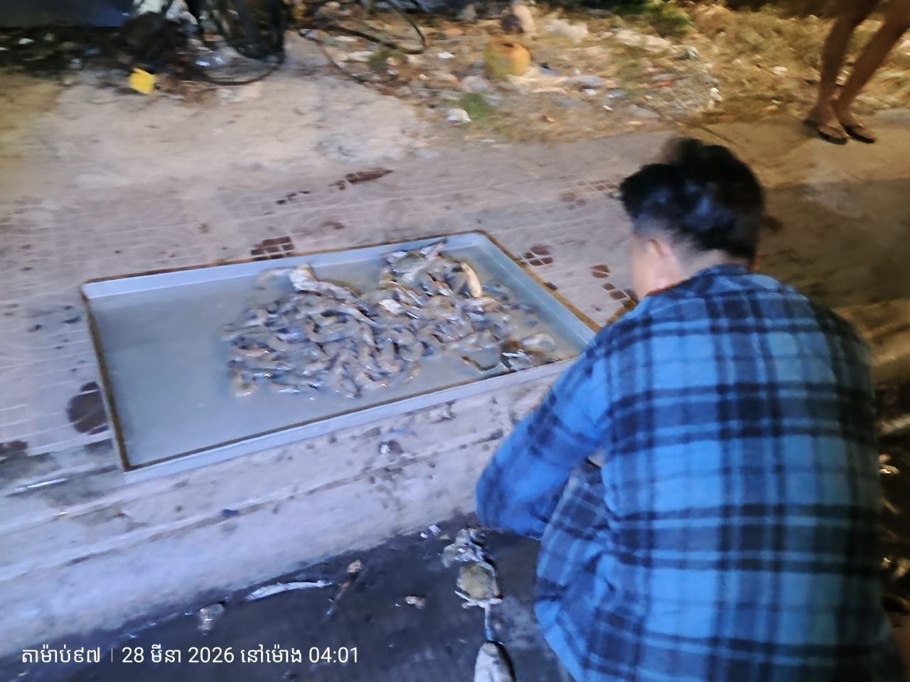 រថយន្តត្រូវបានដកទៅរក្សាទុក