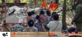 អាជ្ញាធរ និងប្រជាពលរដ្ឋ ធ្វើបុណ្យរំលឹកសត្វដំរី ដែលបានស្លាប់ ដោយសាគ្រាប់ផ្លោងរបស់កងទ័ពថៃ និងពិធីបុណ្យខួបបំបួសព្រៃព្រះរការ 