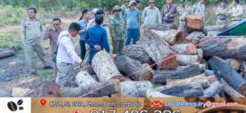 កម្លាំងចម្រុះខេត្តសៀមរាប បន្តចុះបង្ក្រាបសិប្បកម្មឈើខុសច្បាប់ ៧កន្លែង និងឡដុតធ្យូង ១កន្លែង ក្នុងស្រុកបន្ទាយស្រី និងស្រុកវ៉ារិន