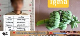 ញៀនថ្នាំខូចគំនិត ទើបចេញពីពន្ធនាគារសោះ លួចកាត់ចេកខ្ចីគេ ១ស្ទោង លីទាំងយប់ ត្រូវសមត្ថកិច្ចល្បាតប្រទះឃើញក្របួចជាប់