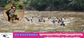 សហគមន៍ជនជាតិដើមភាគតិចជងក្នុងតំបន់អារ៉ែងប្រារព្ធពិធីបុណ្យចាប់ត្រីតាមប្រពៃណីប្រចាំឆ្នាំនៅក្នុងតំបន់ជំរកក្រពើភ្នំ ដែលមានក្រពើភ្នំរស់នៅ នេះជារៀងរាល់ឆ្នាំតមកជាច្រើនជំនាន់មកហើយ
