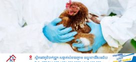 ក្រសួងសុខាភិបាល ប្រកាសពីការរកឃើញករណីជំងឺផ្តាសាយបក្សី លើកុមារាអាយុ៣ឆ្នាំម្នាក់ នៅស្រុកបន្ទាយអំពិល ខេត្តឧត្តរមានជ័យ 