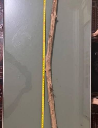 ការចាប់ខ្លួនជនសង្ស័យ