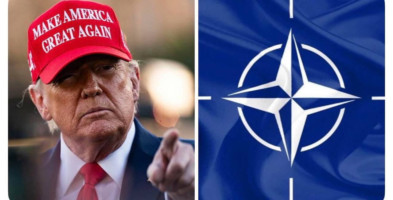 Trump NATO
