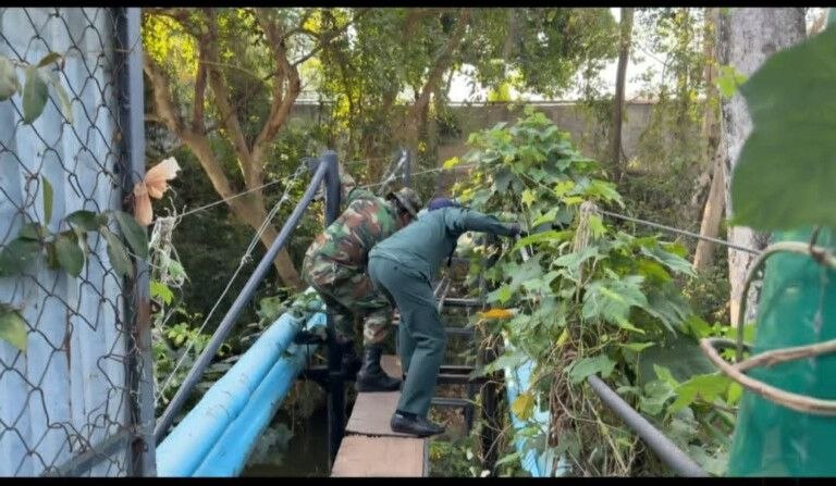 ហេតុការណ៍បាញ់ប្រហារនៅផ្សារស្គន់