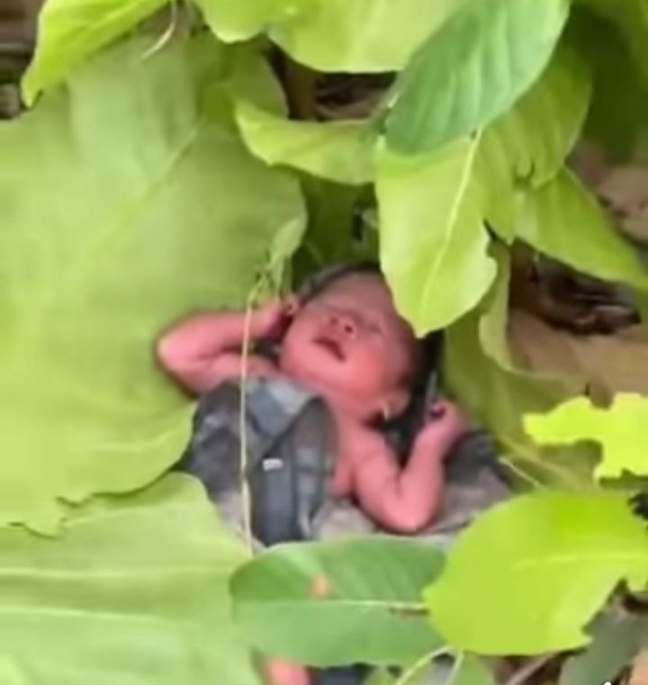 ការស៊ើបអង្កេត