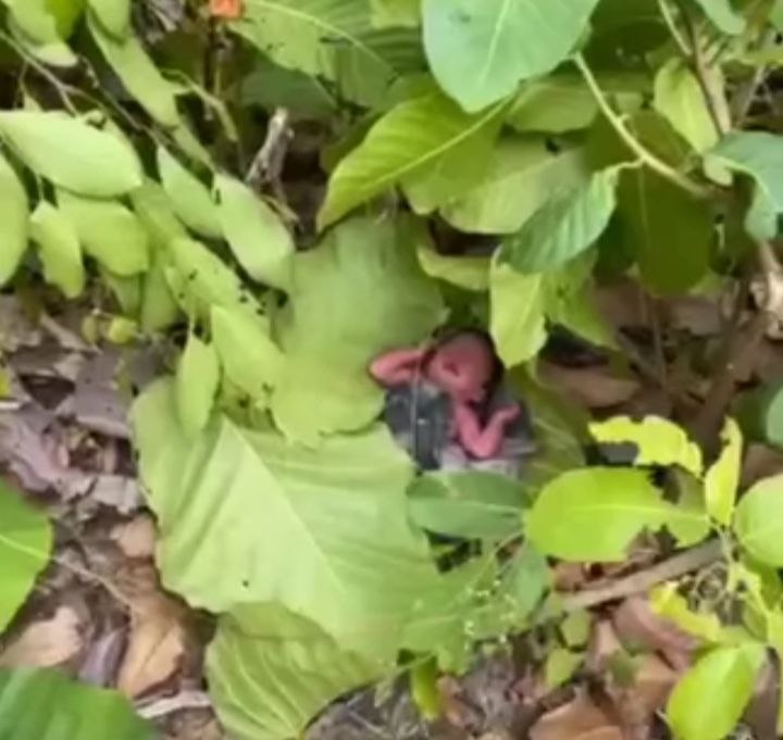 កន្លែងកើតហេតុ