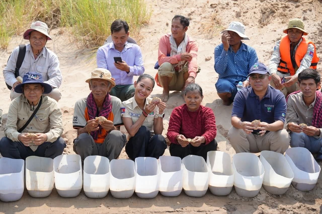 ការអភិរក្សសត្វល្មូន