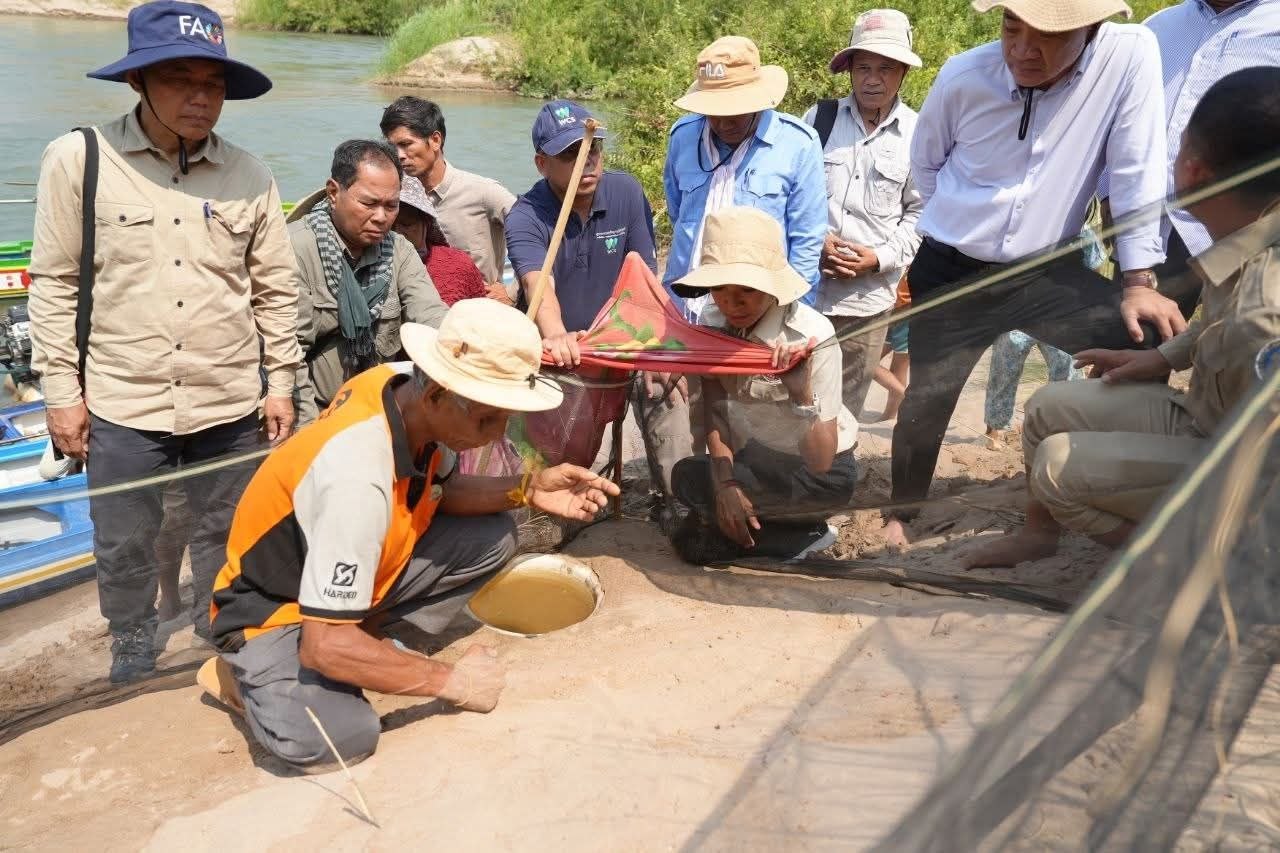 ទន្លេមេគង្គ