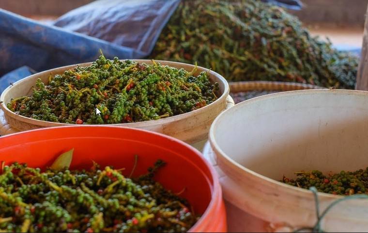 តម្លៃម្រេចកម្ពុជា