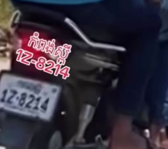 ការដោះស្រាយករណី