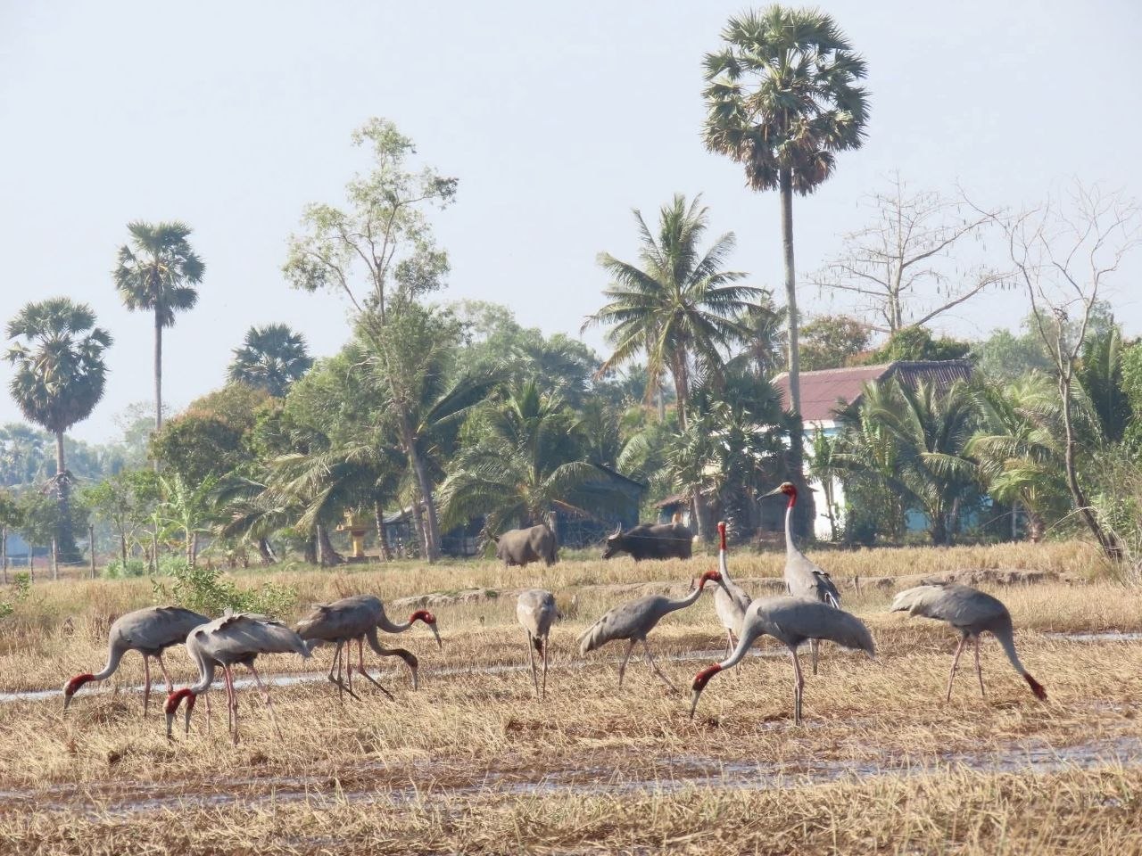 ទេសចរណ៍ធម្មជាតិនៅតំបន់អភិរក្ស