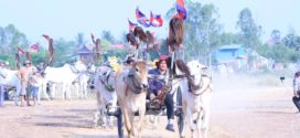 ប្រណាំងរទេះសាឡីគោលឿនឆ្នាំ២០២៦ ចូលរួមមកពីខេត្តកំពង់ស្ពឺ កណ្តាល និងភ្នំពេញ គោ៨០នឹម នឹមតូច៥០ និងនឹមធំ៣០