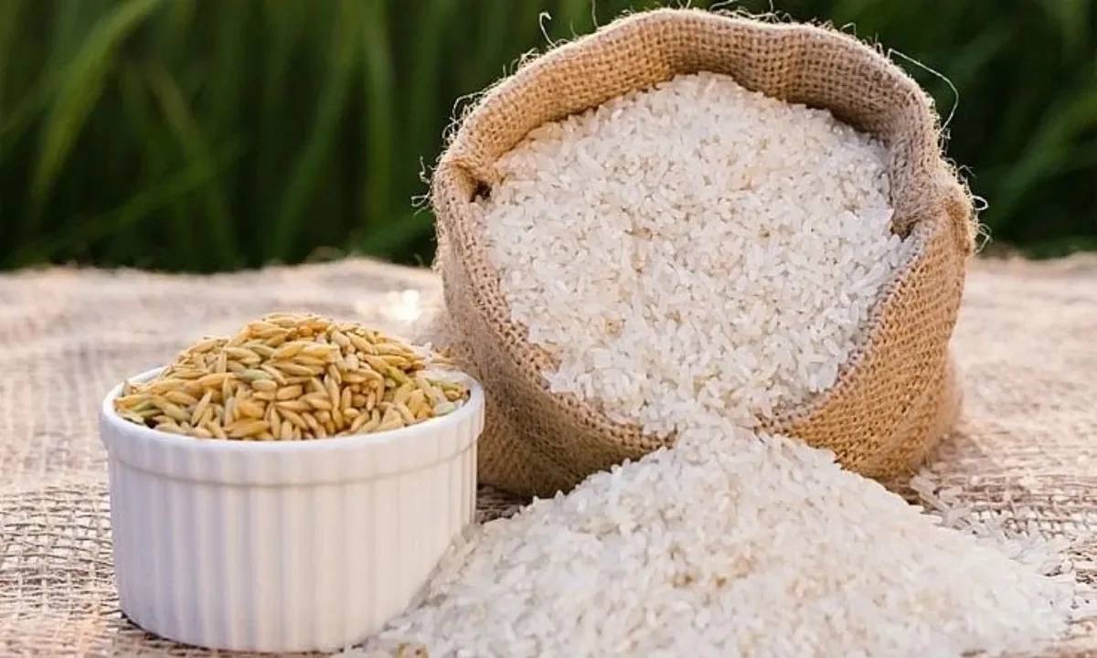 រយៈពេល៣ខែឆ្នាំ២០២៦នេះ! កម្ពុជារកចំណូលបានជាង ២០៧ លានដុល្លារ ពីការនាំចេញអង្ករជាង ៣៦១ ពាន់តោន