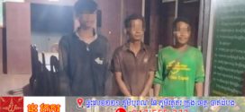 ឃាត់ខ្លួន៣នាក់ កាប់ដើមសំរ៉ងប្រមូលផ្លែខុសច្បាប់ ក្នុងឧទ្យានជាតិវីរៈជ័យ បញ្ជូនទៅតុលាការ