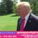 លោក Trump ទះដៃតបវិញទៅកាន់សម្តេចប៉ាប Leo XIV៖ «ខ្ញុំគ្មានអ្វីប្រឆាំងនឹងសម្តេចប៉ាបទេ» ប៉ុន្តែអ៊ីរ៉ង់មិនអាចមានអាវុធនុយក្លេអ៊ែរទេ លើកឡើងថាមានអ្នកតវ៉ាគ្មានអាវុធចំនួន ៤២.០០០ នាក់ត្រូវបានសម្លាប់
