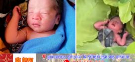 ម្ដាយចិត្តអប្រិយ៍! បោះកូនចោលក្នុងព្រៃ បង្កការភ្ញាក់ផ្អើលពលរដ្ឋស្រុកចិត្របុរី