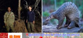 មន្ត្រីឧទ្យានុរក្ស នៃដែនជម្រកសត្វព្រៃលំផាត់សហការជាមួយអង្គការជីវិតធម្មជាតិនៅកម្ពុជាលែងសត្វពង្រូល ១ក្បាល ចូលព្រៃធម្មជាតិវិញ