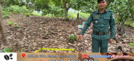 បុរស​ម្នាក់​រើស​គ្រាប់«B»​គប់​ចូល​ក្នុង​អូរ ​ផ្ទុះ​ត្រូវ​ខ្លួនឯង​ស្លាប់ នៅស្រុក​សំឡូត