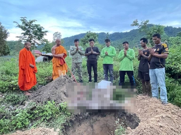 សត្វប្រើសញី១ក្បាលមានផ្ទៃពោះវង្វេងចូលភូមិត្រូវក្រុមបុគ្គលអគតិវាយនិងត្រូវឆ្កែដេញ…ងាប់ទាំងមេទាំងកូន