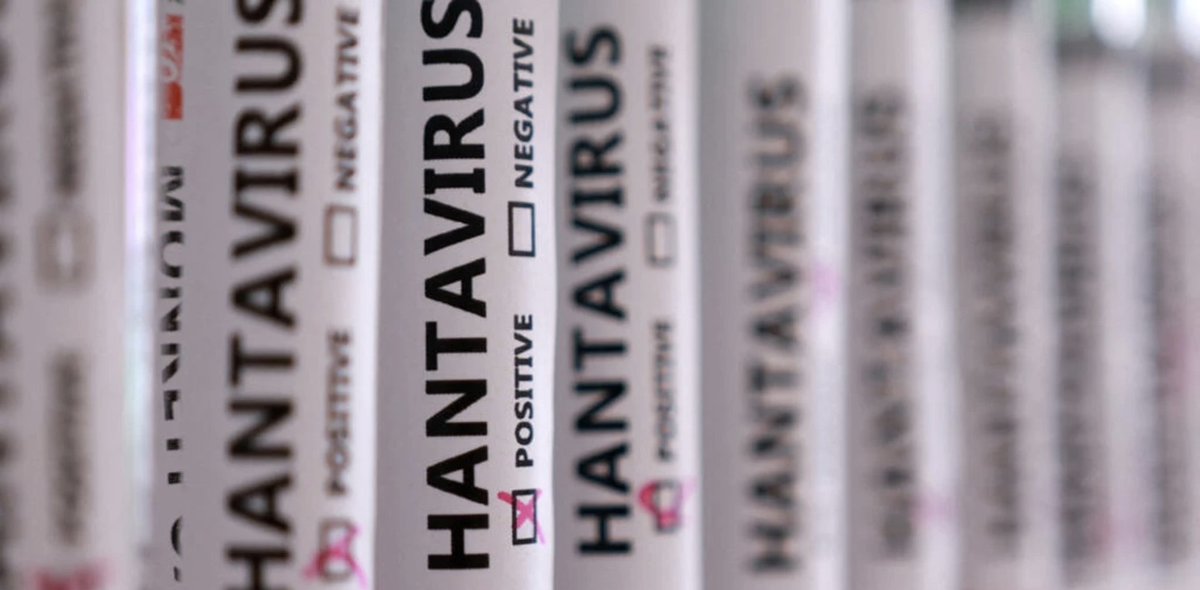 WHO Hanta virus