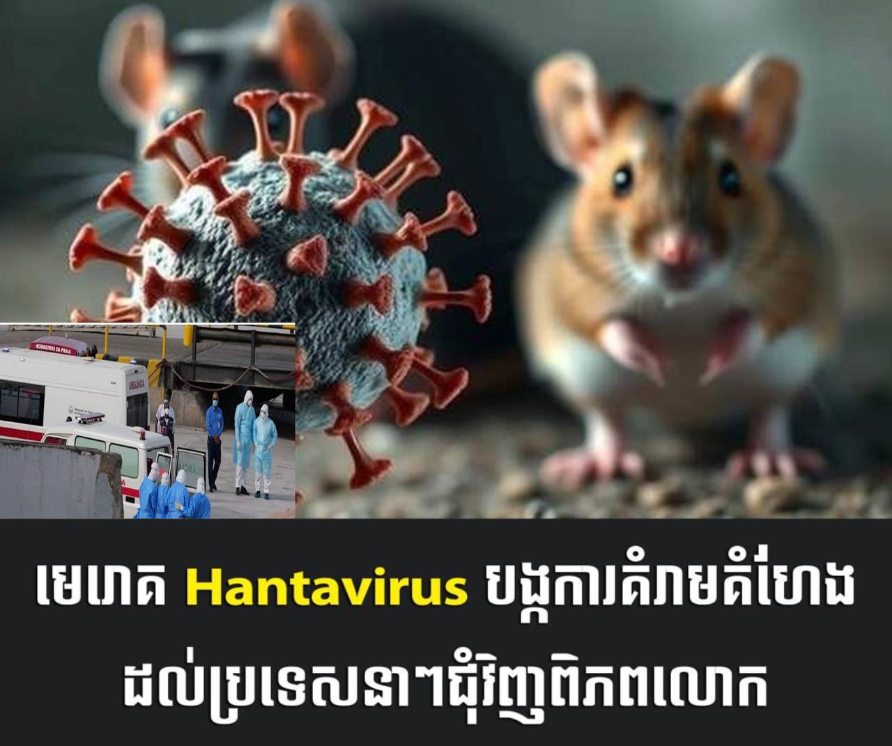 Hantavirus