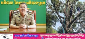 ទុរេនទឹកឈូចាប់ផ្តើមប្រមូលផល ហើយក៏កំពុងមានភាពល្បីល្បាញ និងទាក់ទាញជាមួយឳជារសដ៏ឆ្ងុយឆ្ងាញ់របស់ភ្ញៀវជាតិ និងអន្តរជាតិ