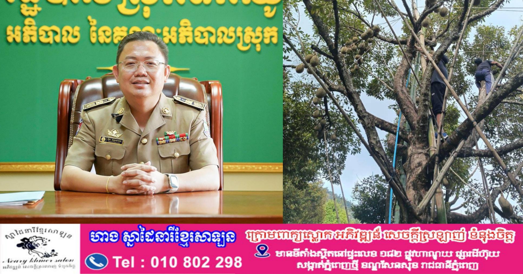 ទុរេនទឹកឈូចាប់ផ្តើមប្រមូលផល ហើយក៏កំពុងមានភាពល្បីល្បាញ និងទាក់ទាញជាមួយឳជារសដ៏ឆ្ងុយឆ្ងាញ់របស់ភ្ញៀវជាតិ និងអន្តរជាតិ