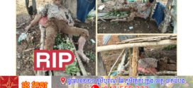 បុរសម្នាក់ត្រូវបានរន្ទះបាញ់ស្លាប់ពេលកំពុងជ្រកភ្លៀង