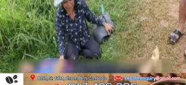 បុរស​វ័យ​ចំណាស់​ម្នាក់​ត្រូវ​រន្ទះបាញ់​ស្លាប់​នៅ​កន្លែង​ឃ្វាលគោ ក្នុងស្រុកសំពៅលូន