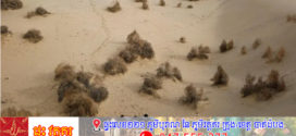 ប្រទេសចិនព្រមានអំពីហានិភ័យទឹកជំនន់ធ្ងន់ធ្ងរនៅក្នុងវាលខ្សាច់ធំបំផុតរបស់ប្រទេស