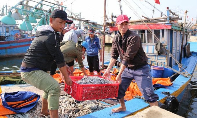 ការនាំចេញគ្រឿងសមុទ្ររបស់វៀតណាមកើនឡើង 11% ដោយសារតម្រូវការកាន់តែខ្ពស់ពីចិន