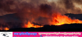 ភ្លើងឆេះព្រៃកំពុងឆាបឆេះគ្របដណ្តប់លើប្រទេសមួយចំនួននៅអឺរ៉ុប