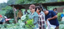 អាជ្ញាធរខេត្ដប៉ៃលិន លើកទឹកចិត្តឱ្យកសិករដែលកំពុងដាំបន្លែត្រូវបន្ដដាំដុះបន្ថែមទៀត ដើម្បីផ្គត់ផ្គង់ទីផ្សារក្នុងស្រុក និងនាំចេញធានាបាននូវតម្លៃសមរម្យ