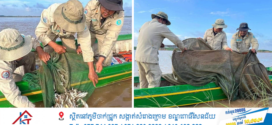 ជលផលកំពង់ចាមបង្ក្រាបបទល្មើសជលផលបានចំនួន ២ករណី ដោយរុះរើ និងបំផ្លាញចោលនូវឧបករណ៍ខុស ច្បាប់