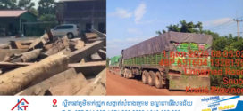 ក្រុមហ៊ុន ជា ចិន្តា និងក្រុមហ៊ុន ណេងណា ដឹកជញ្ជូនឈើតាមរថយន្តវ៉េអងមួយខ្សែៗ មេត្តាសមត្ថកិច្ច និងជំនាញពិនិត្យPC ក្រែងខុសយក្យថាប្រភេទឈើ !