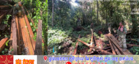 មន្ត្រីឧទ្យានុរក្សប្រទះឃើញទីតាំងស្តុកឈើអារគគីរ ២ កន្លែង មានចំនួន ១៤៤ សន្លឹក នៅស្រុកឱរ៉ាល់