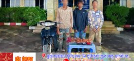 កម្លាំងអាវុធហត្ថខេត្តកំពង់ស្ពឺបង្ក្រាបនិងឃាត់ខ្លួនជនសង្ស័យចំនួន០៣លួចកាត់ខ្សែភ្លើងនៅក្នុងរោងចក្រក្នុងស្រុកភ្នំស្រួច រត់គេចមកក្រុងច្បារមន