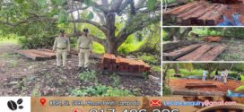 កម្លាំងនគរបាលសេដ្ឋកិច្ចនិងកំលាំងអធិការនគរបាលស្រុកឱរ៉ាល់សហការស្រាវជ្រាវបង្រ្កាបទីតាំងកែច្នៃឈេីគ្មានច្បាប់នៅស្រុកឱរ៉ាល់