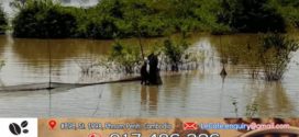 ជំនាញជលផល បានរុះរើបំផ្លាញចោលនូវឧបករណ៍ខុសច្បាប់នៅនឹងកន្លែង ក្នុងការបង្រ្កាបបទល្មើសជលផល ១ករណី នៅក្នុងភូមិសាស្ត្រស្រុកជើងព្រៃ 
