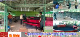 ទីតាំងលេងល្បែងជល់មាន់មួយកន្លែង ត្រូវបានកម្លាំងជំនាញ នៃស្នងការដ្ឋាននគរបាលខេត្តឧត្តរមានជ័យ ចុះការបង្ត្រាប និងឃាត់ខ្លួនបានមនុស្ស២នាក់បញ្ជូនទៅតុលាការ